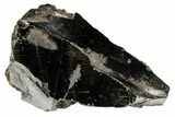 Lustrous, High Grade Colombian Shungite - New Find! #188347-1
